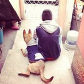 Sick Ortizs foto