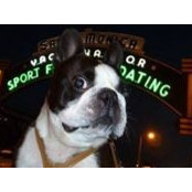 Karl Schramm's photo