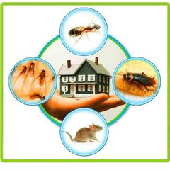 Commercial Pest Control Geelong