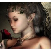 Ladyelf Pendarian's photo