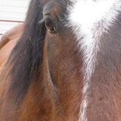 Claire Gable's photo