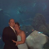 Alissa Nelson's photo