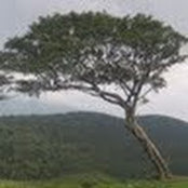 Foto von Menaka Ratnayake