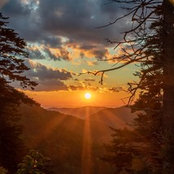 Angie M's photo