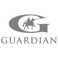 Guardian InGlass's profile photo