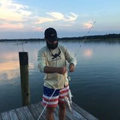 Matthew Chisholm's photo