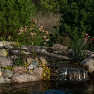 Back Yard Oasis