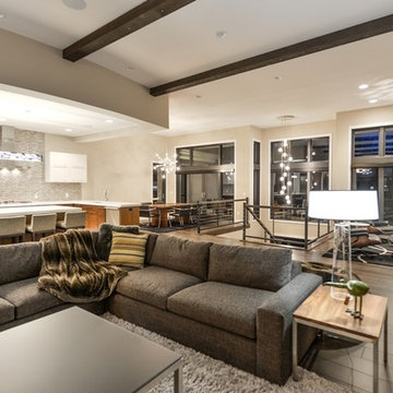 Eagles Landing - Modern Walkout Rambler -Saint Augusta, Mn