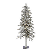 christmas holiday