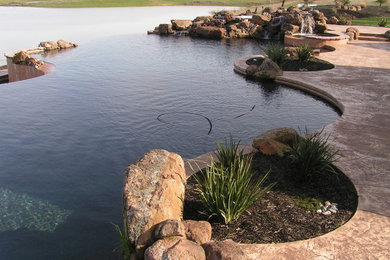 Example of a classic pool design in Sacramento