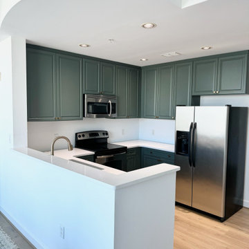 Condo Renovation Downtown