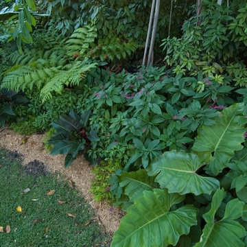 Miami Landscape Design Ideas