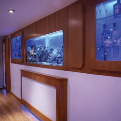 Games Room & Basement, Los Gatos, California - Aquariums & Fish Tanks