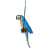 Medium Polly In Paradise Parrot