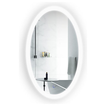 Oval LED Lighted Wall Mount Bathroom Mirror, Fog Free and Dimmable, 22"x40"