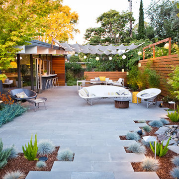 Palo Alto Stunner - 2016 CLCA 2nd Place Award Winner