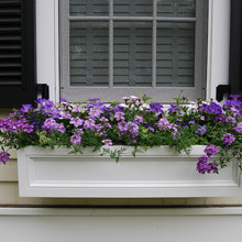 Window boxes