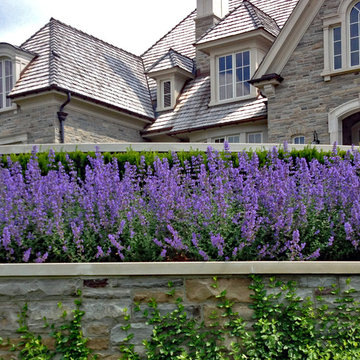 Planting and Maintenance