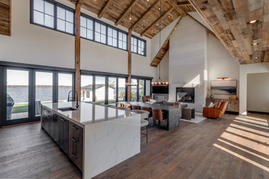 Example of a transitional living room design in Minneapolis