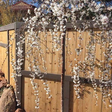 Featured Serene Interactive Garden