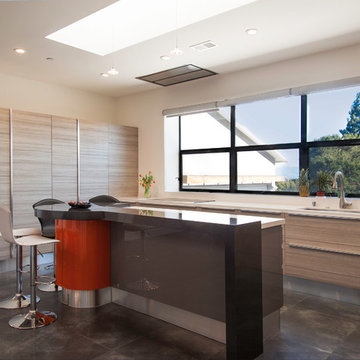 Cupertino Modern House