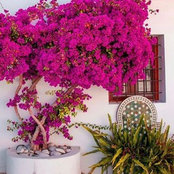 Foto von S&R Home Ideas