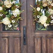 Steph Trawick's photo