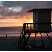 Cecilia McDermott's photo