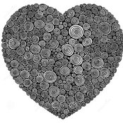 Kelli Worley's photo
