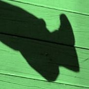 Cara Harrison's photo