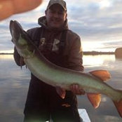 Paul Mleziva's photo