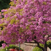maria carelli's photo