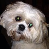 Becky Connell's photo