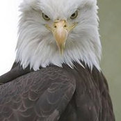 Laura Kovach's photo
