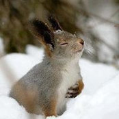 Renee Vincent's photo