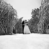 David Hargreaves's photo