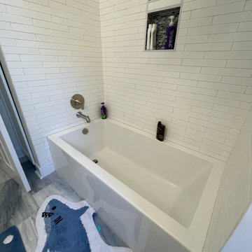 CHARLOTTESVILLE FULL HOUSE REMODEL