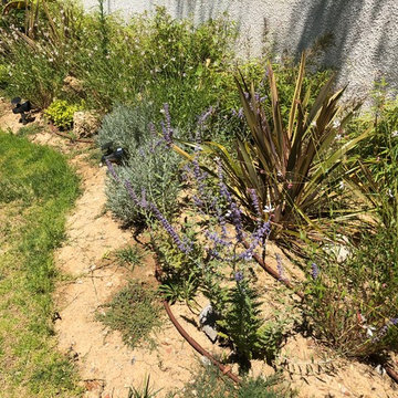 Jardin bien être en lotissement