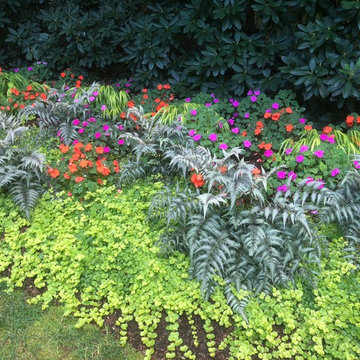 Landscape install & maintenance