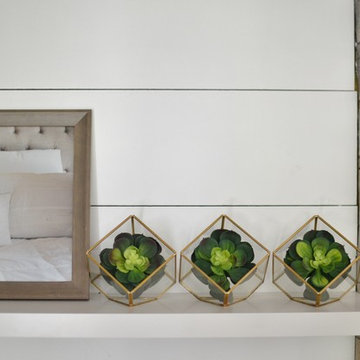 Floating shelf with cube terrariums