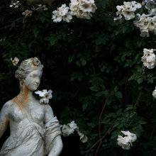 gothic garden