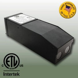 12VDC 100 Watt Magnetic LED Transformer - Light Bulbs
