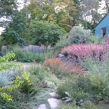 Rustic Cottage