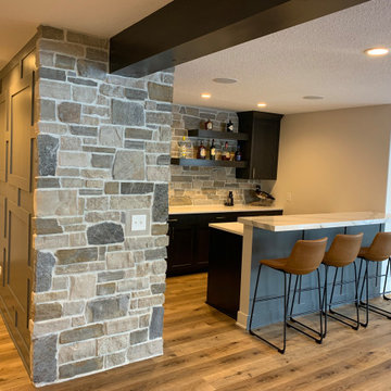 Albrecht Basement Project