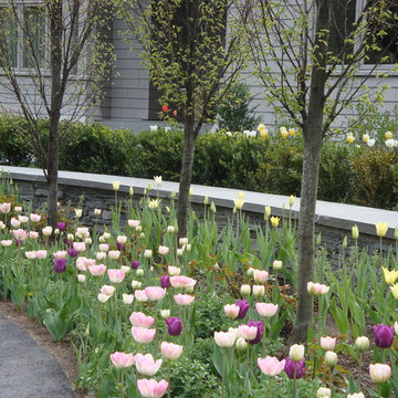 Spring Bulb Designs