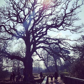 Gemma Burton-Nickson's photo