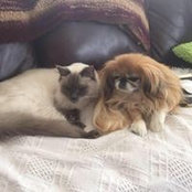 Roberta Steger's photo