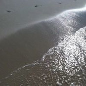 Ericka Kirkland's photo