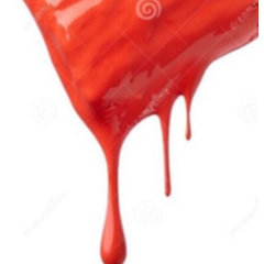 Pro Painters