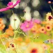 Janey Rices foto